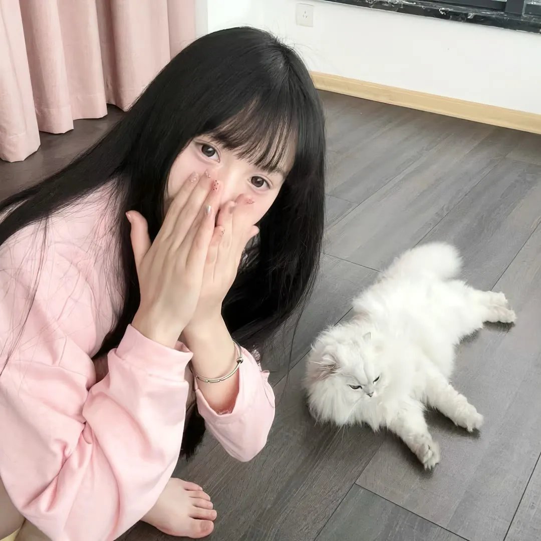 哥吉拉×机械哥吉拉