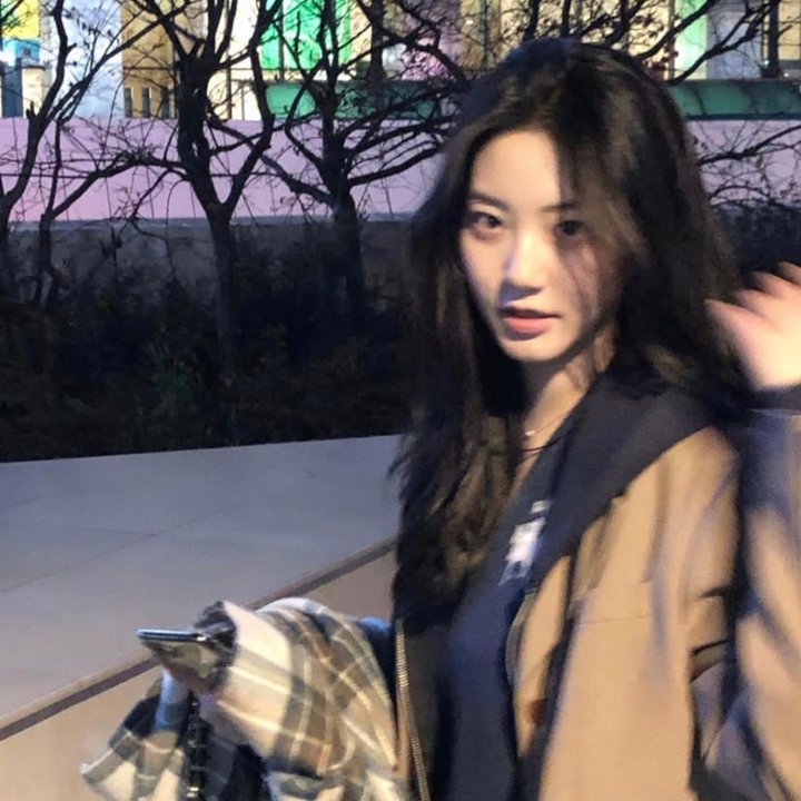 群鸟东径